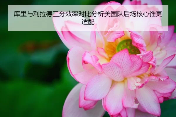 库里与利拉德三分效率对比分析美国队后场核心谁更适配