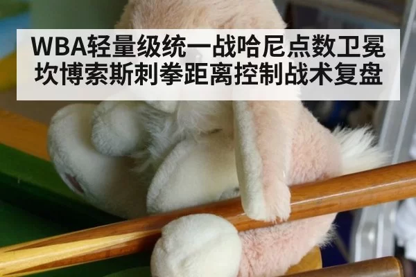 WBA轻量级统一战哈尼点数卫冕坎博索斯刺拳距离控制战术复盘 - xingkongyule