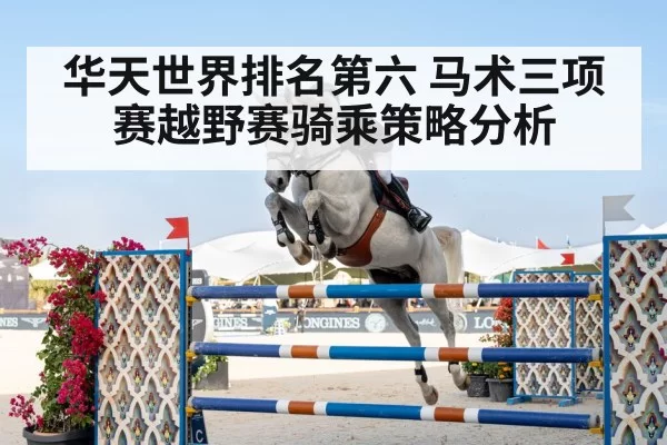horse riding competition